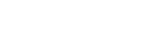 Apex Auto Garage Only Logo Wings