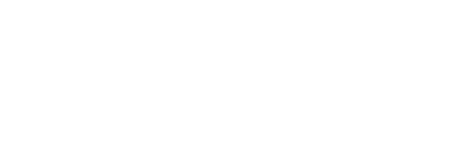 Apex Auto Garage Only Logo Wings